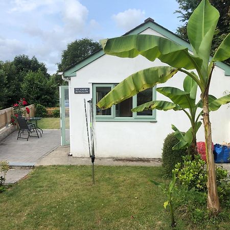 Sycamore Bungalow Perranwell ภายนอก รูปภาพ